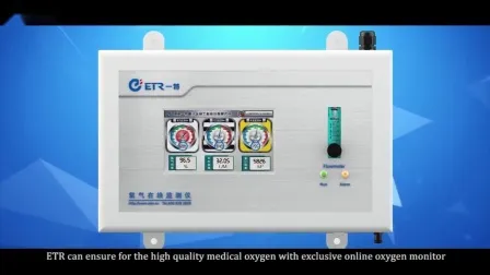 Mobile/Computer Remote Monitoring Psa Oxygen Generator for Hospital/Medical
