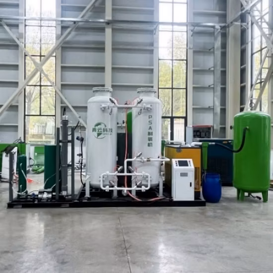 Generador de oxígeno industrial Psa Precio Mini planta de oxígeno concentrador de oxígeno